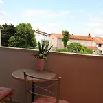 Sonnenblume